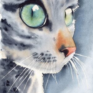 Aquarelle animale représentant un chat gris aux yeux verts en gros plan réalisée par Christelle Lachambre artiste-peintre