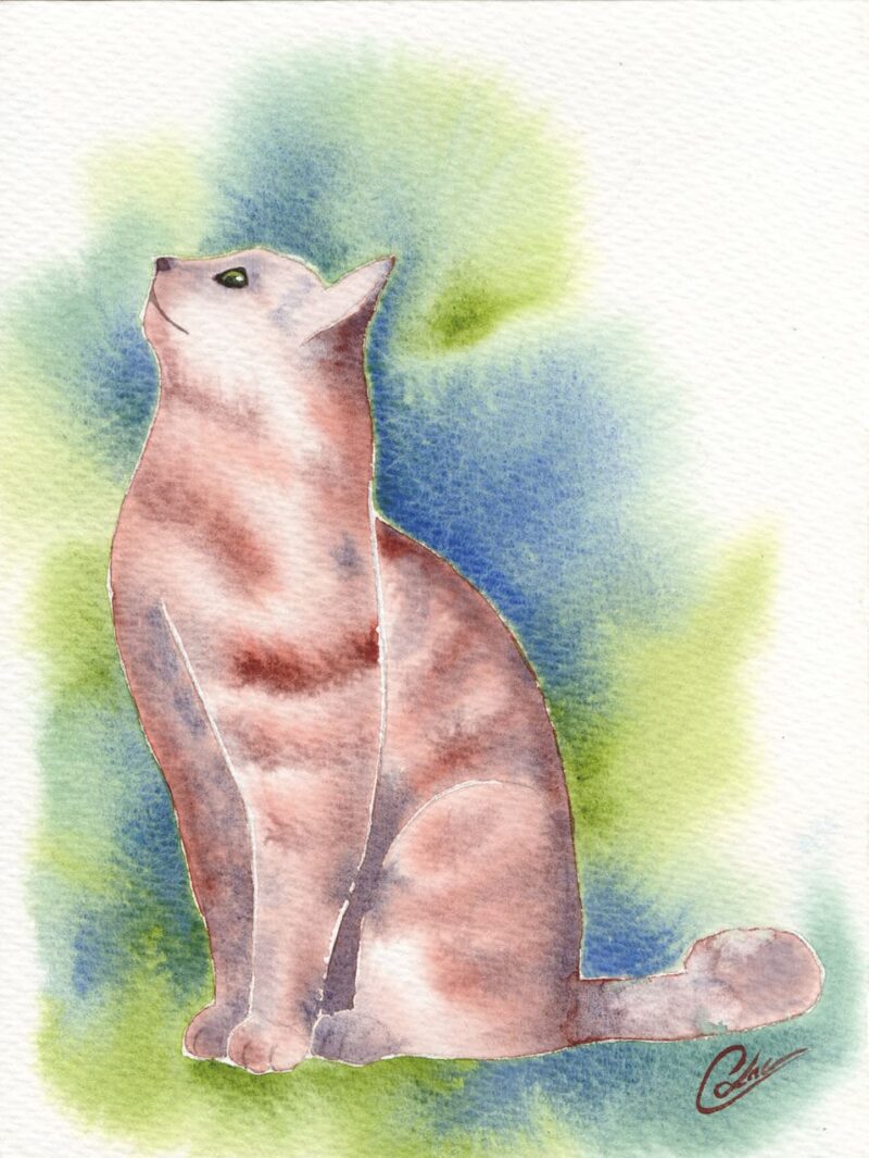 Aquarelle animale représentant un chat assis de profil en train de regarder en l'air quelque chose qui l'absorbe réalisée par Christelle Lachambre artiste-peintre