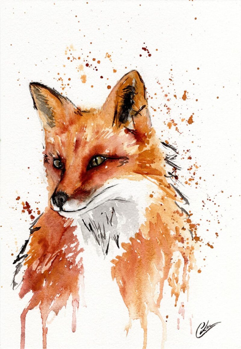 Aquarelle animale représentant un buste de renard au milieu de splashs de couleurs réalisée par Christelle Lachambre artiste-peintre