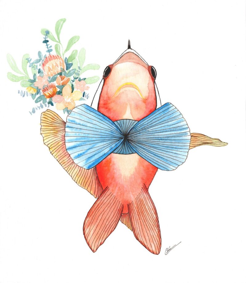 Aquarelle animale style naïf représentant un poisson clown guindé, avec un bouquet de végétaux de la mer, et un noeud papillon en coquillages qui s'apprête à aller à un rendez-vous galant... réalisée par Christelle Lachambre artiste-peintre