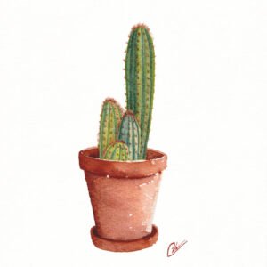 Aquarelle végétale représentant un cactus en pot réalisée par Christelle Lachambre artiste-peintre