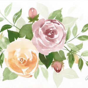 Aquarelle végétale représentant des roses et boutons de roses sur des tons de vieux rose et d'ocre jaune réalisée par Christelle Lachambre artiste-peintre