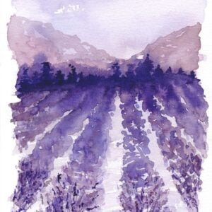 Aquarelle paysage en monochrome de violet représentant un champ de lavande réalisée par Christelle Lachambre artiste-peintre