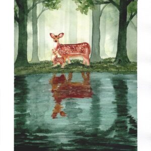 Aquarelle animale représentant une biche et son faon, sur la rive d'une rivière qui coule au milieu d'une forêt, les reflets de la biche et du faon se reflètant dans l'eau de la rivière, réalisée par Christelle Lachambre artiste-peintre