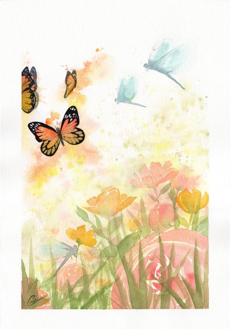 Aquarelle animale représentant un gros plan sur les fleurs d'un jardin coloré survolé de papillons et de libellules, réalisée par Christelle Lachambre artiste-peintre