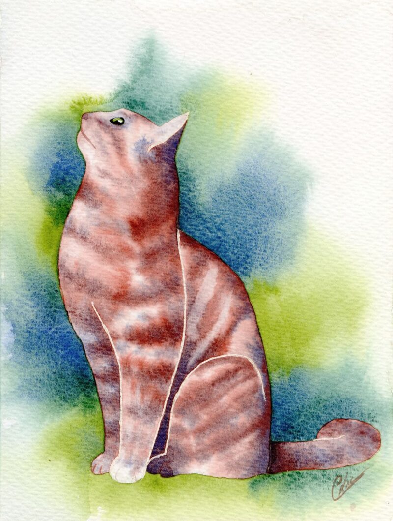 Aquarelle animale représentant un chat assis, de profil, en train de regarder en l'air quelque chose qui l'absorbe, réalisée par Christelle Lachambre artiste-peintre