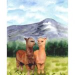 Aquarelle animale représentant un duo d'alpagas, se regardant d'un air complice, dans la plaine devant la forêt et les montagnes en arrière-plan, réalisée par Christelle Lachambre artiste-peintre