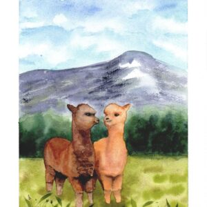 Aquarelle animale représentant un duo d'alpagas, se regardant d'un air complice, dans la plaine devant la forêt et les montagnes en arrière-plan, réalisée par Christelle Lachambre artiste-peintre