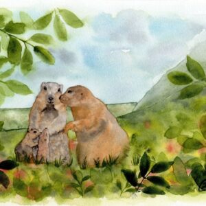 Aquarelle animale représentant une famille de marmottes à la lisière d'une forêt, sur le flanc de la montagne réalisée par Christelle Lachambre artiste-peintre