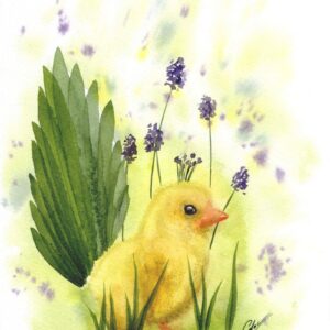 Aquarelle animale représentant un poussin qui se prend pour un paon et se déguise avec le décor autour de lui pour lui ressembler, réalisée par Christelle Lachambre artiste-peintre