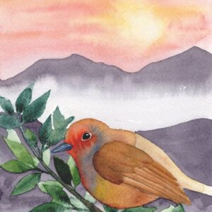 Aquarelle animale représentant un rouge-gorge sur une branche au coucher du soleil avec en arrière-plan les montagnes, réalisée par Christelle Lachambre artiste-peintre