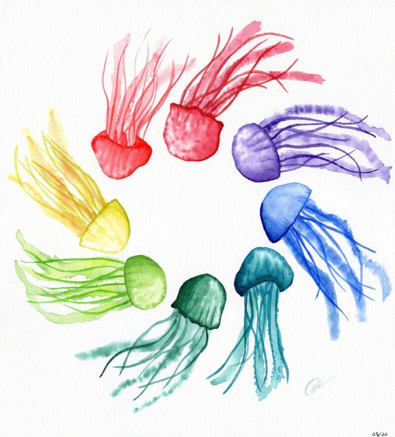 Aquarelle fantastique représentant un cercle de méduses dansant autour du centre, chaque méduse porte une couleur différente, le tout représentant un cercle chromatiques réalisée par Christelle Lachambre artiste-peintre