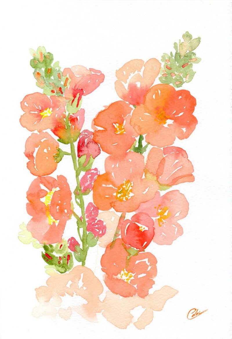 Aquarelle végétale représentant une branche de fleurs oranges réalisée par Christelle Lachambre artiste-peintre