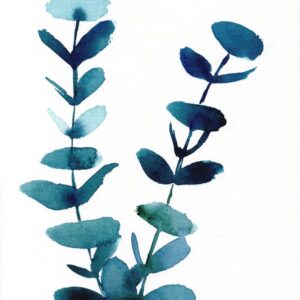 Aquarelle végétale représentant un duo de branches d'eucalyptus réalisée par Christelle Lachambre artiste-peintre