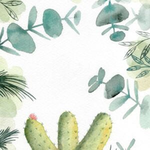 Aquarelle végétale représentant un cactus, des eucalyptus et d'autres feuilles réalisée par Christelle Lachambre artiste-peintre