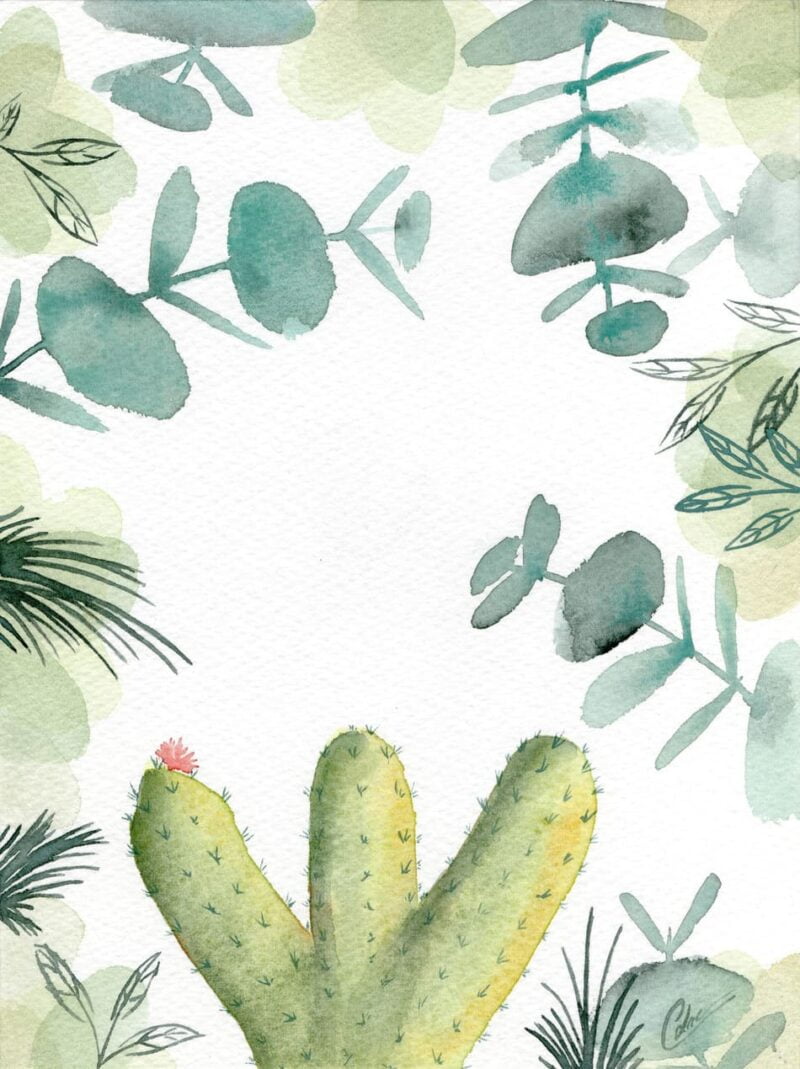 Aquarelle végétale représentant un cactus, des eucalyptus et d'autres feuilles réalisée par Christelle Lachambre artiste-peintre