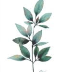 Aquarelle végétale représentant une branche avec des feuilles avec des tonalités différentes fusionnées réalisée par Christelle Lachambre artiste-peintre