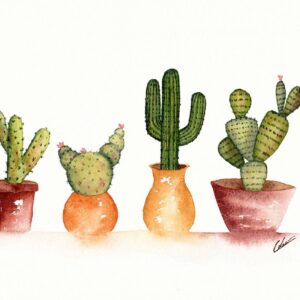 Aquarelle végétale représentant quatre cactus en pot alignés réalisée par Christelle Lachambre artiste-peintre