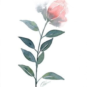 Aquarelle végétale représentant une fleur rouge et feuillages en fusions de vert réalisée par Christelle Lachambre artiste-peintre