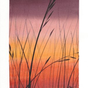 Aquarelle paysage représentant une vue macro d'herbes bougées par le vent dans le soleil couchant réalisée par Christelle Lachambre artiste-peintre