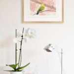 aquarelle moderne L’oiseau jaune dans le cerisier en décoration intérieure sur le mur blanc d'un salon au dessus d'une console