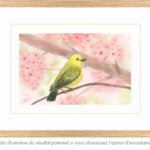 Illustration du rendu potentiel de l'option d'encadrement de l'oeuvre L'oiseau jaune dans le cerisier réalisée par Christelle Lachambre artiste-peintre
